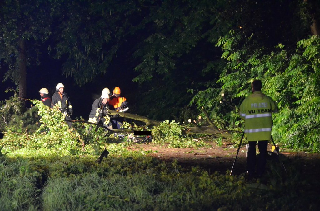 Sturm Radfahrer vom Baum erschlagen Koeln Flittard Duesseldorferstr P41.JPG
